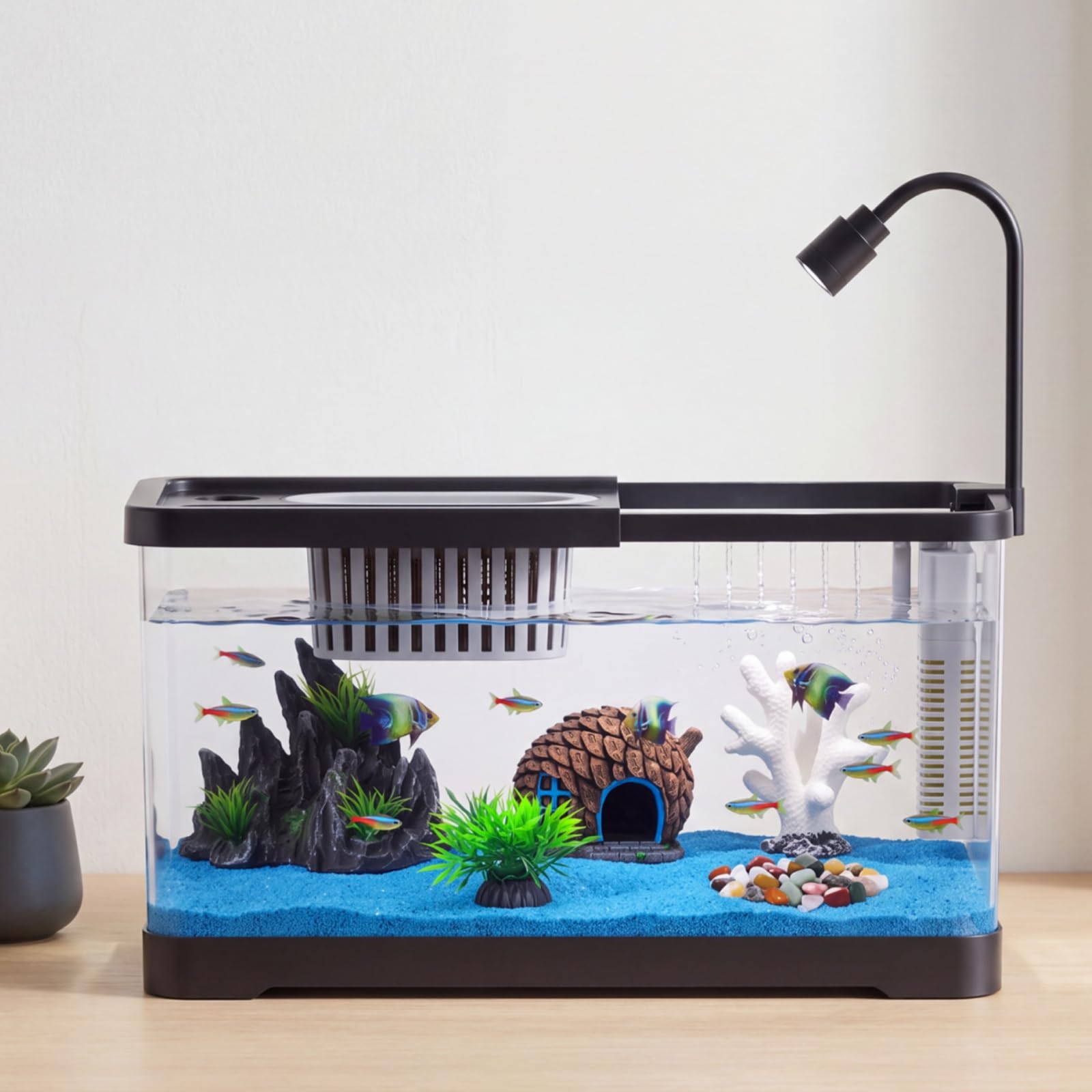Reef Tank Filter - Kit de Inicio para Pecera con