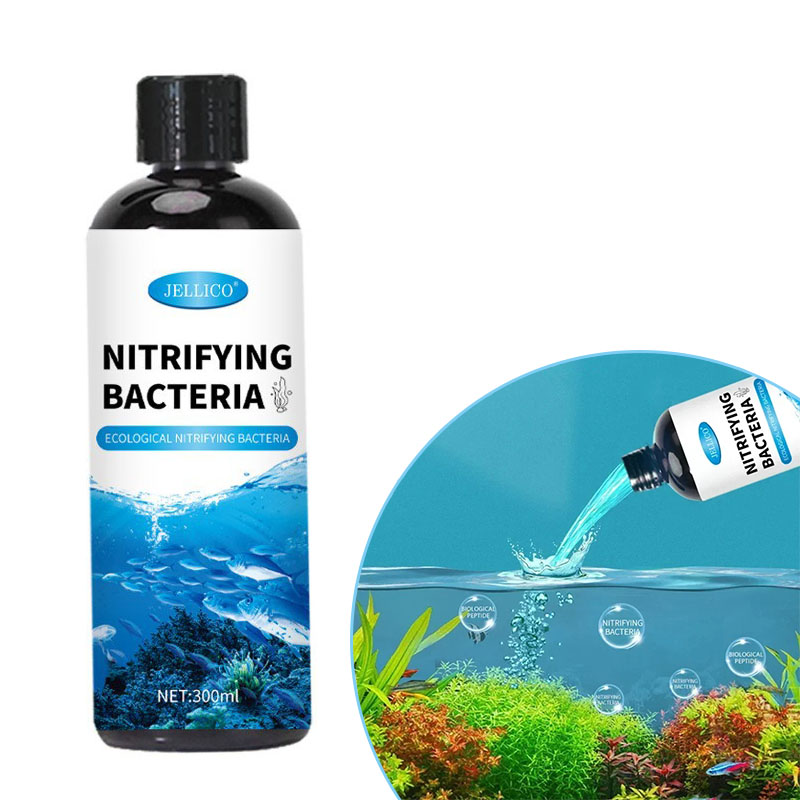 Ocean Aquarium - Purificador de agua para pecera líquida,