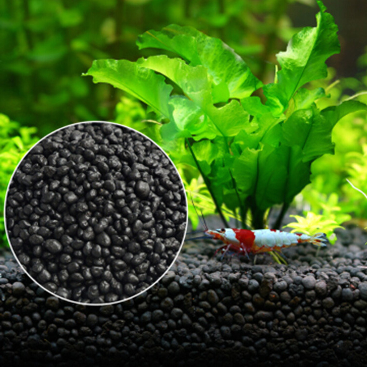 Ocean Aquarium - Semillas de plantas de Acuario, sustrato