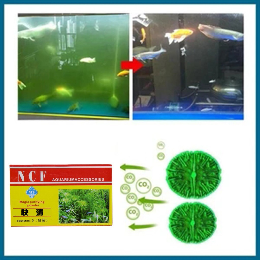 Saltwater Tank - Polvo purificador de agua para acuario,