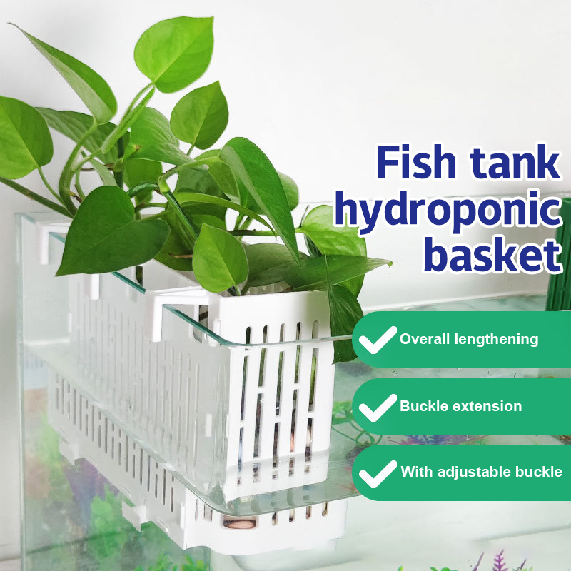 Marine Aquarium - 【F】Maceta colgante para acuario, soporte para