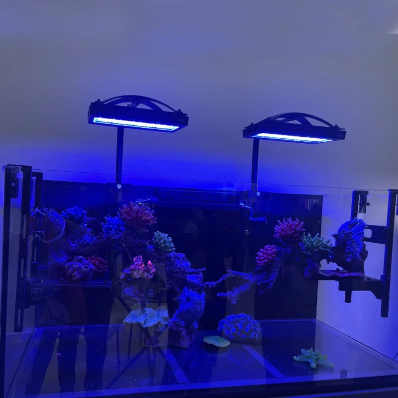 Luces LED para Arrecifes de Co - Reef Lighting reseña y precio
