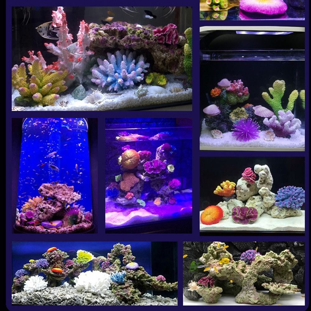 Modelo de Coral Artificial de  - Marine Coral reseña y precio