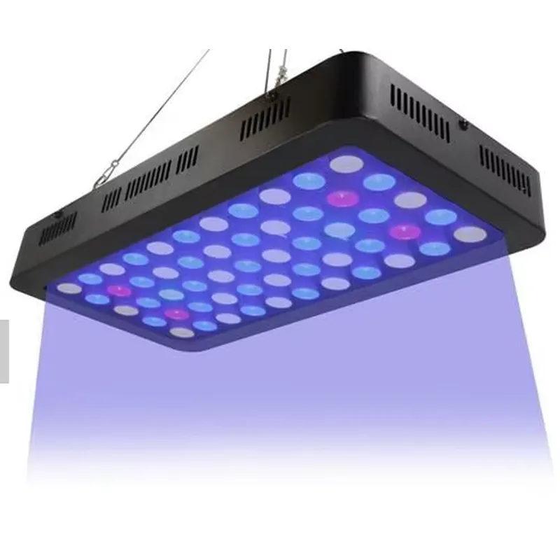 Luz LED WiFi para Acuario de 3 - Reef Lighting reseña y precio
