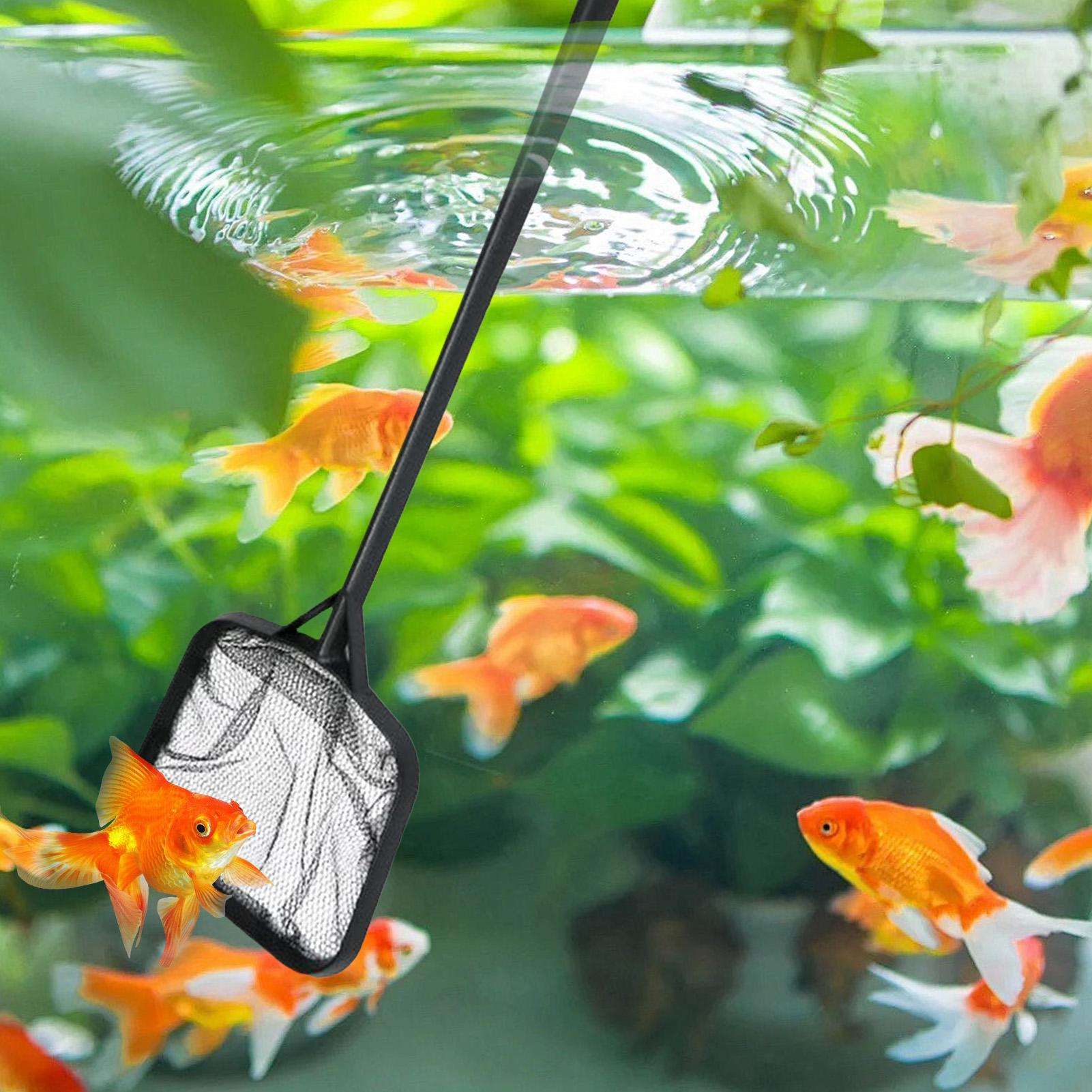 Redes de limpieza para piscina - Marine Aquarium reseña y precio