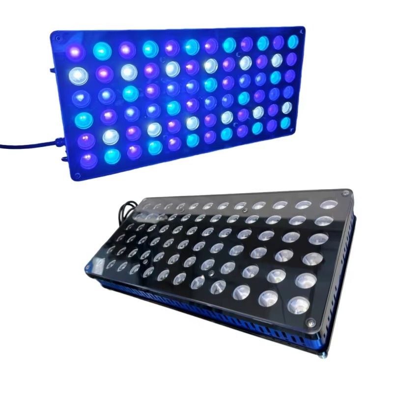 Diodo emisor de luz de arrecif - Reef Lighting reseña y precio