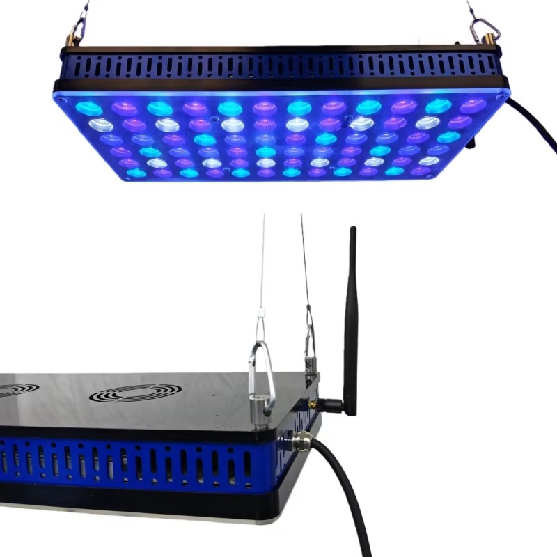 Diodo emisor de luz de arrecif - Reef Lighting reseña y precio