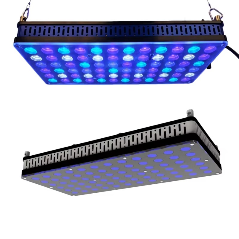 Diodo emisor de luz de arrecif - Reef Lighting reseña y precio