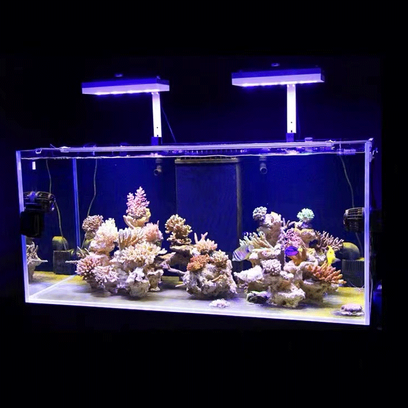 Aqua Lighting AI Hydra 32HD/64 - Aquarium Marine Lights reseña y precio