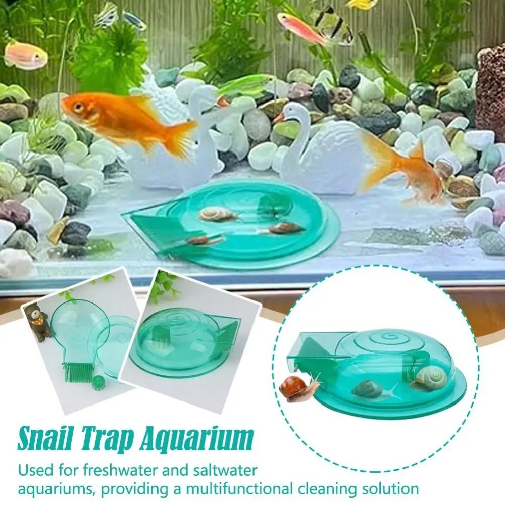 Trampa para Caracoles de Acuar - Saltwater Tank reseña y precio