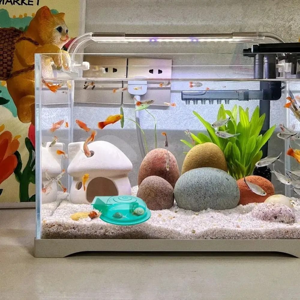 Trampa para Caracoles de Acuar - Saltwater Tank reseña y precio