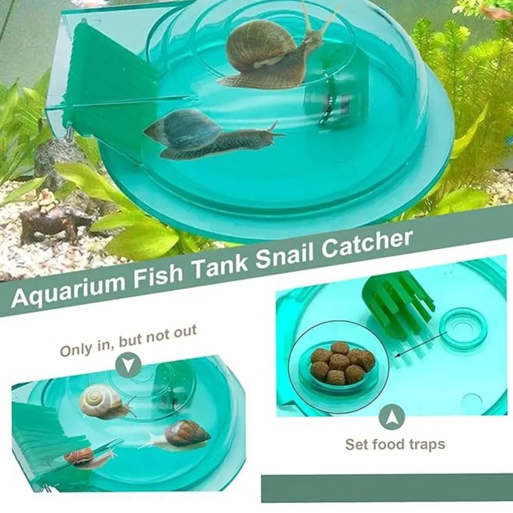 Trampa para Caracoles de Acuar - Saltwater Tank reseña y precio