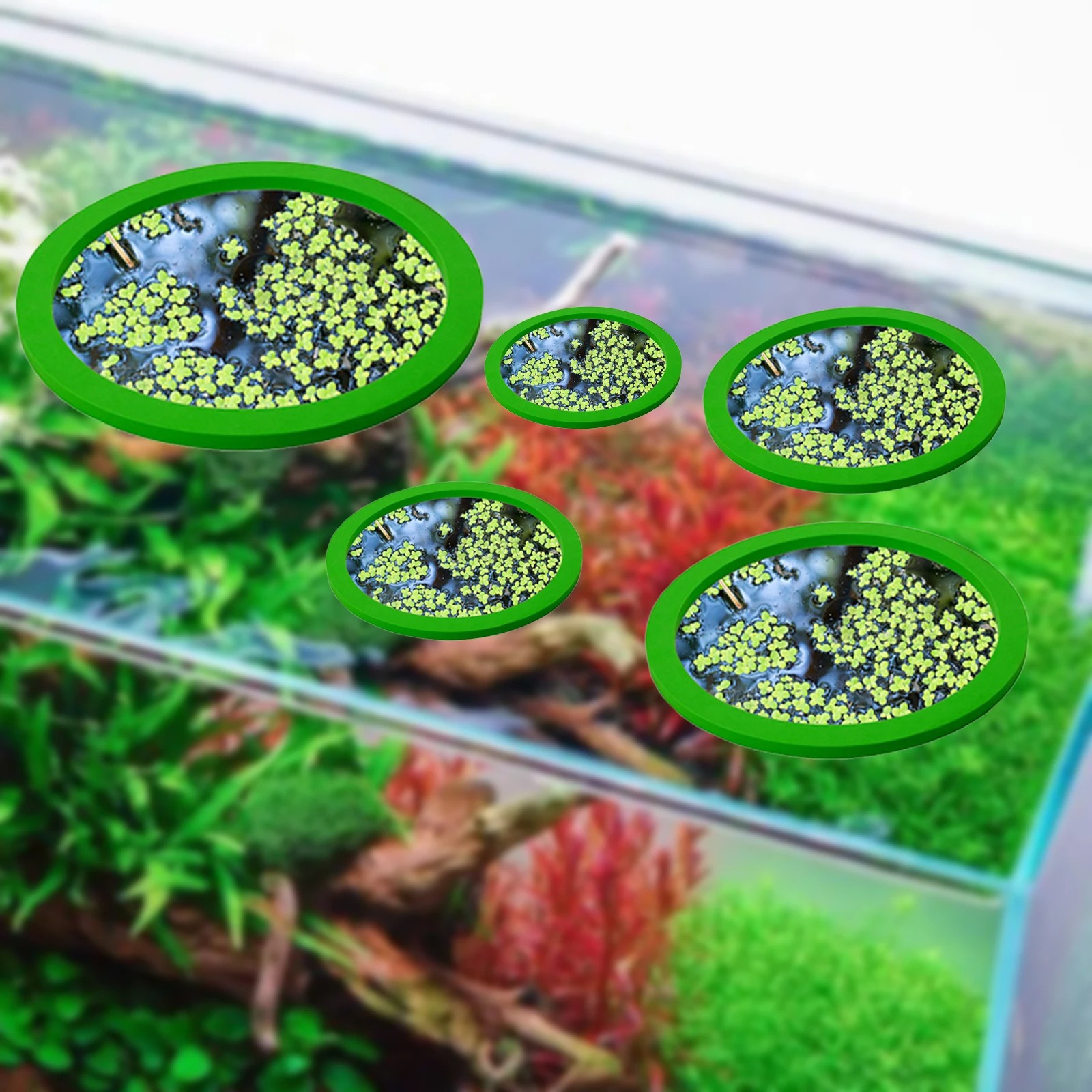 5 uds EVA anillo de alimentaci - Ocean Aquarium reseña y precio