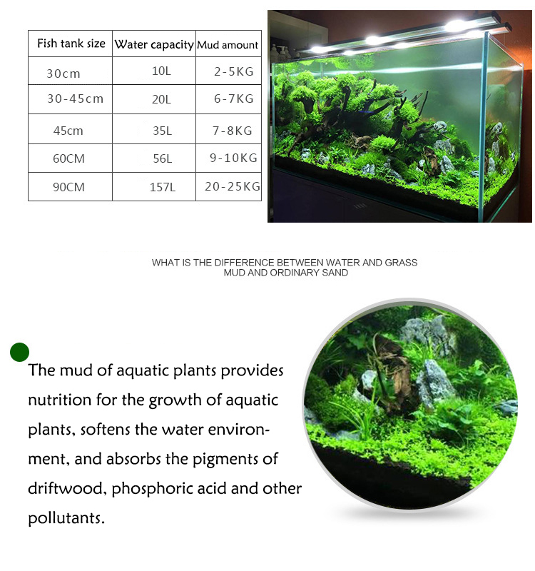 Semillas de plantas de Acuario - Ocean Aquarium reseña y precio