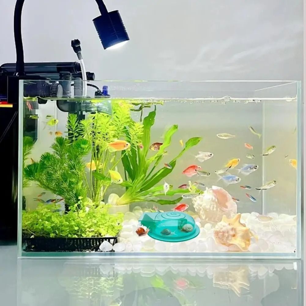 Trampa para Caracoles de Acuar - Saltwater Tank reseña y precio