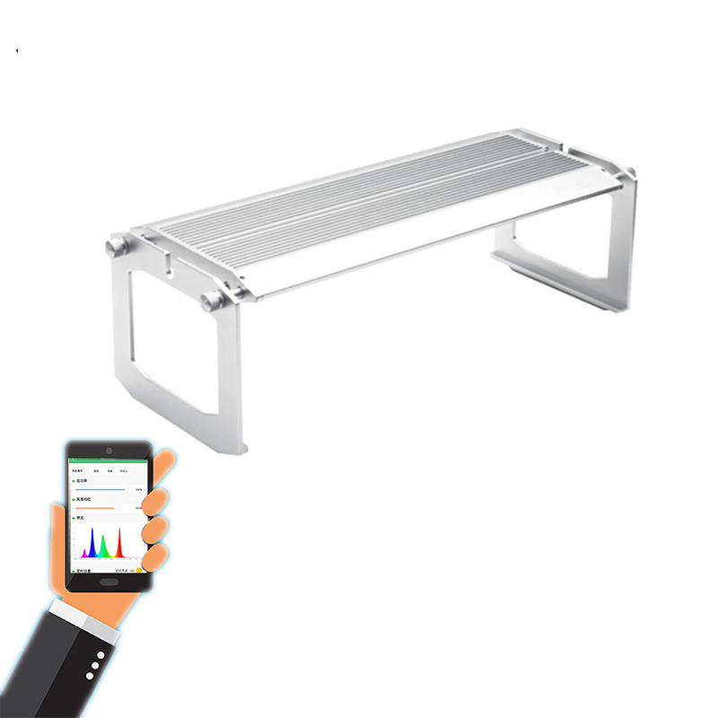 WEEK AQUA Luz LED Vívida para  - Reef Lighting reseña y precio