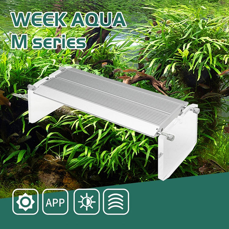WEEK AQUA Luz LED Vívida para  - Reef Lighting reseña y precio