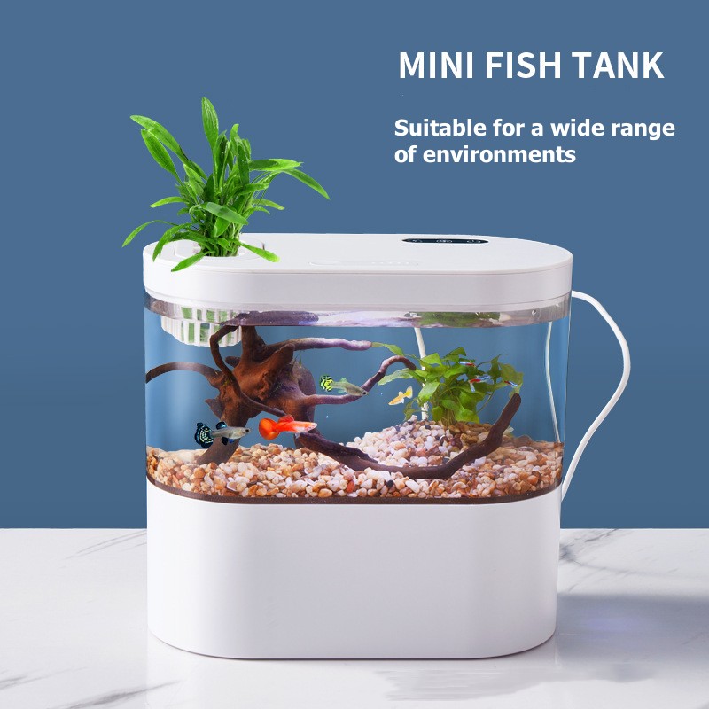Mini Acuario de Escritorio Cre - Aquarium Marine Lights reseña y precio