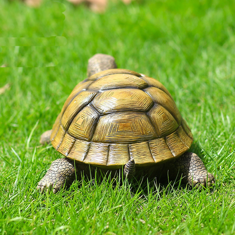 Tortuga decorativa de resina p - Marine Fish Tank reseña y precio